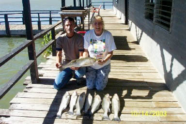 These striper were caught on Lake Buchanan with Rick Ransom Striper Guide on October 14, 2003