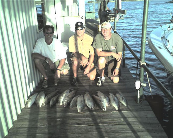 These striper were caught on Lake Buchanan with Rick Ransom Striper Guide on October 14, 2003